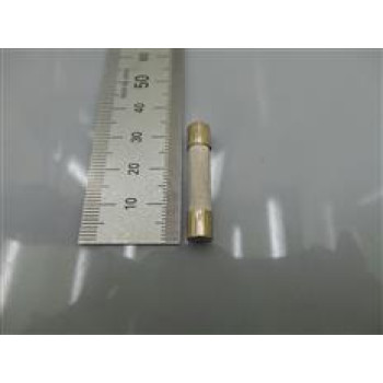 3601-000448 | Microwave Oven Cartridge Fuse