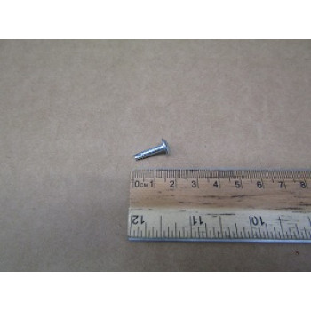 6002-000234 | Oven Tapping Screw