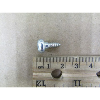 6009-001343 | Washing Machine Special Screw