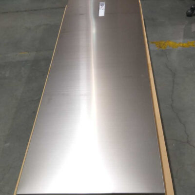 DA91-04713L | Refrigerator Freezer Door