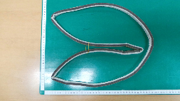 DC93-00125A | Dryer Pad Gasket