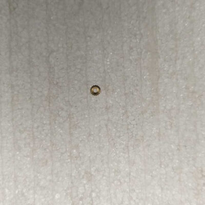 GH81-02356A | Galaxy BUSH INSERT Type A M1.4