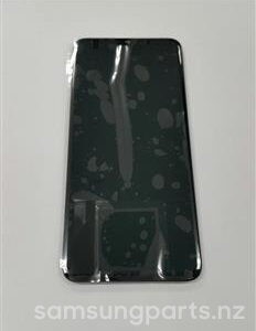 GH82-19787A | Galaxy Display Screen With Frame